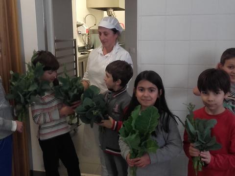 Entrega das couves na cozinha da escola para serem confecionadas e fazerem parte da refeição dos alunos